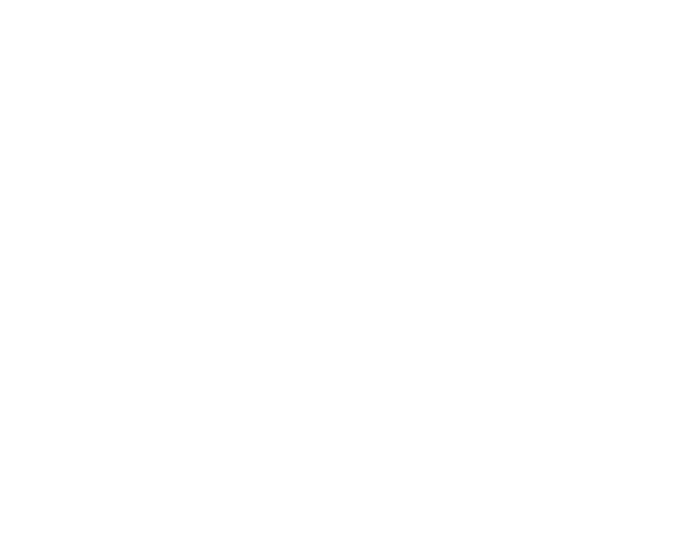 共同プレゼンターで「伝える力」を強化